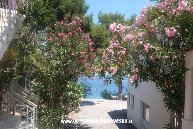 Dom wakacyjny Milenka – foto 4