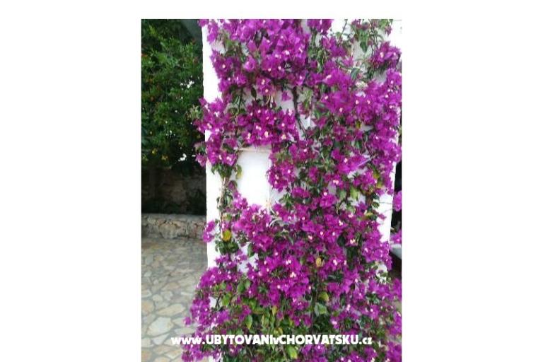 Apartamenty Monika – foto 13