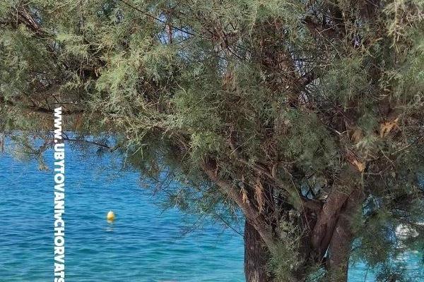 Apartamenty Mare Nostrum – foto 11