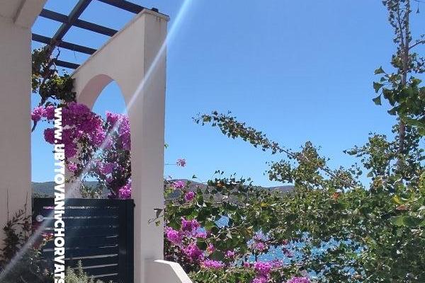 Apartamenty Mare Nostrum – foto 13