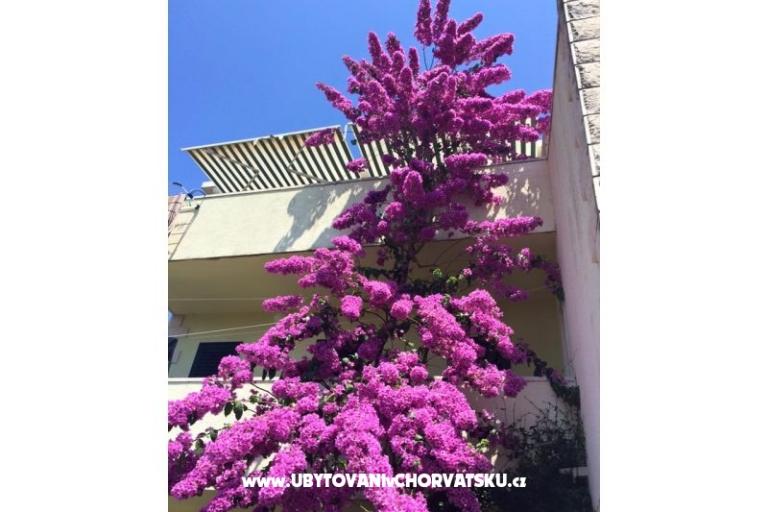 Vila Marijana – foto 6