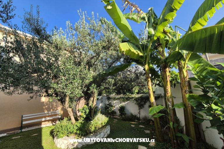 The Three Flowers Pool Dom – foto 61