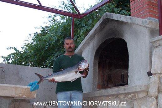 Majo Apartamenty – foto 7