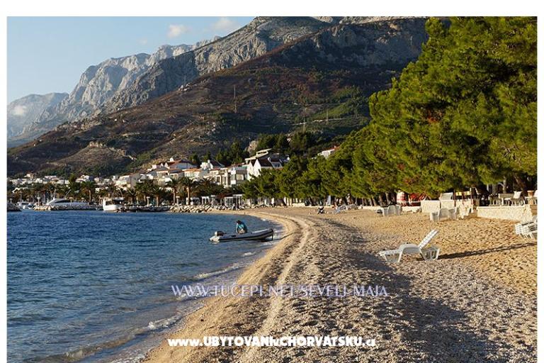 Maja Ševelj - Dom 1 – foto 7