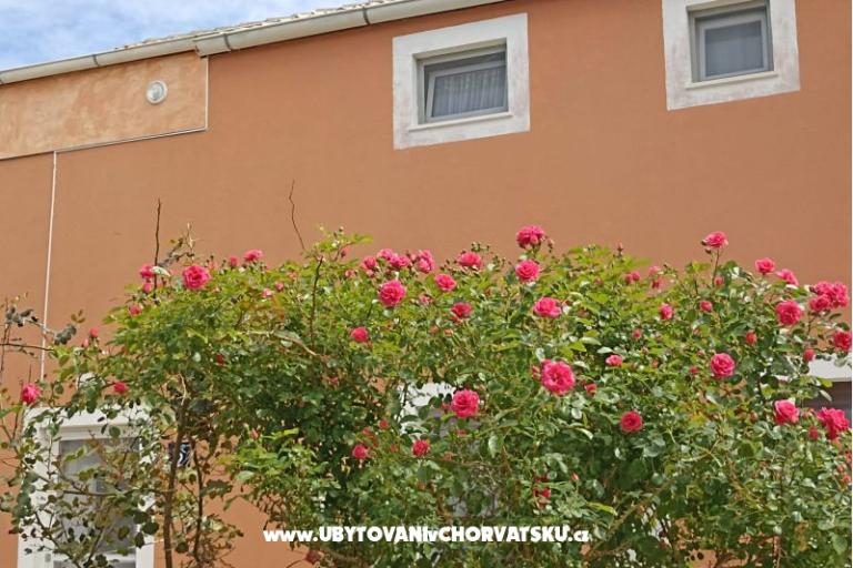 App Bonić – foto 100