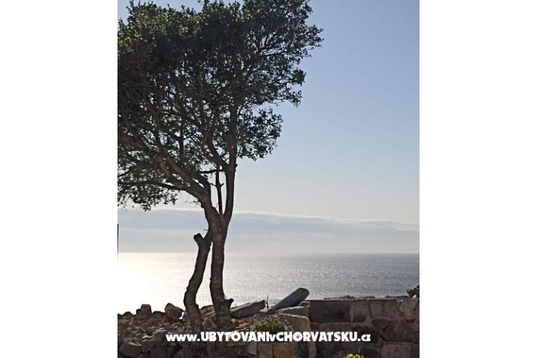 App Bonić – foto 101