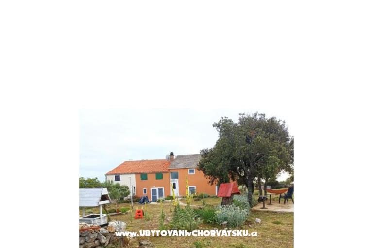 App Bonić – foto 103