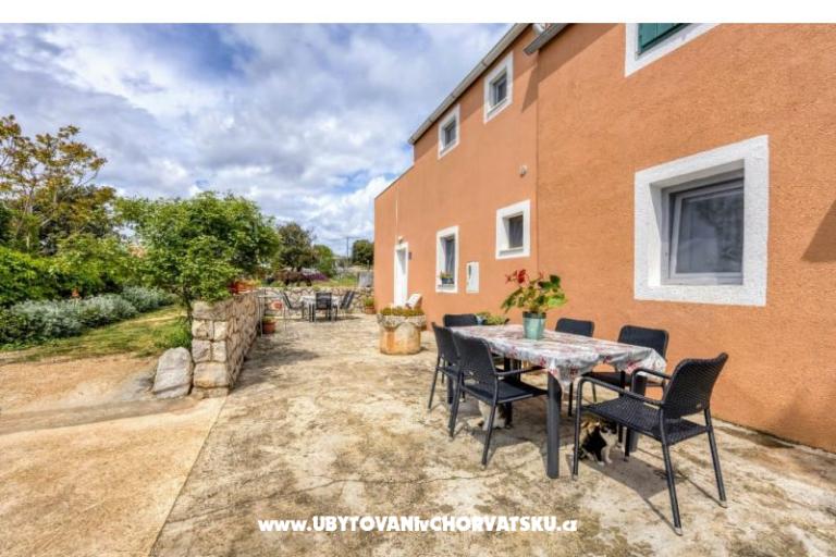 App Bonić – foto 130