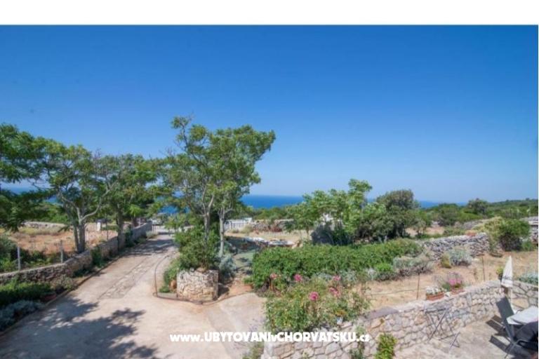 App Bonić – foto 28