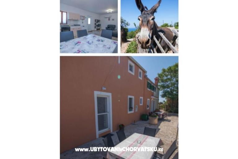 App Bonić – foto 7