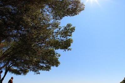 Apartamenty Sapavac – foto 13