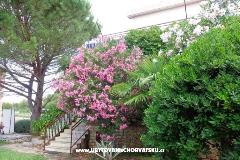 Apartamenty  IVAN   – foto 17