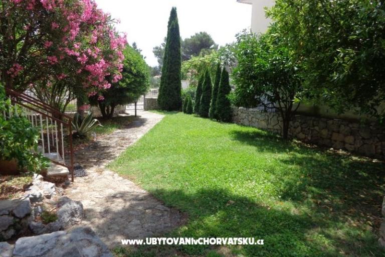 Apartamenty  IVAN   – foto 8