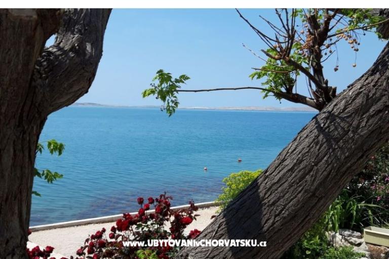 Apartamenty Benić – foto 16