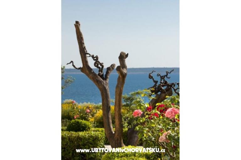 Apartamenty DANI – foto 15