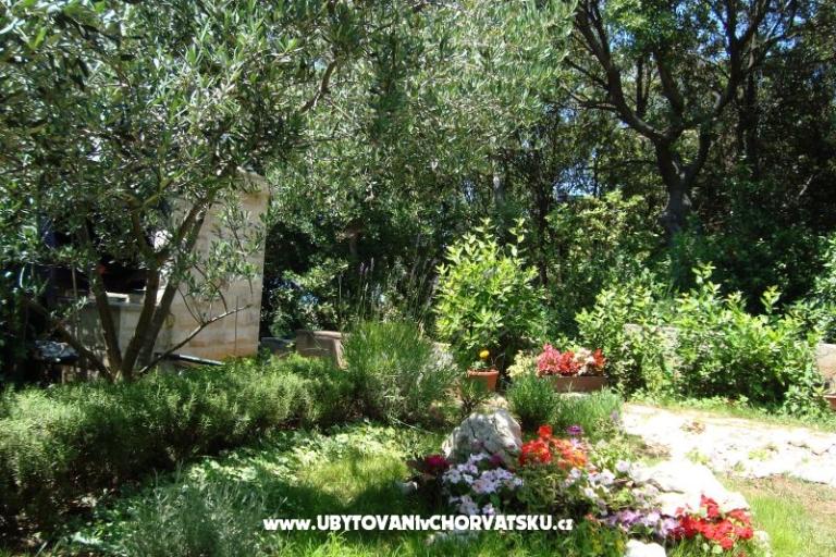 Apartamenty ISA – foto 12