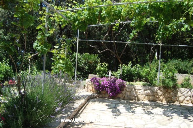 Apartamenty ISA – foto 14