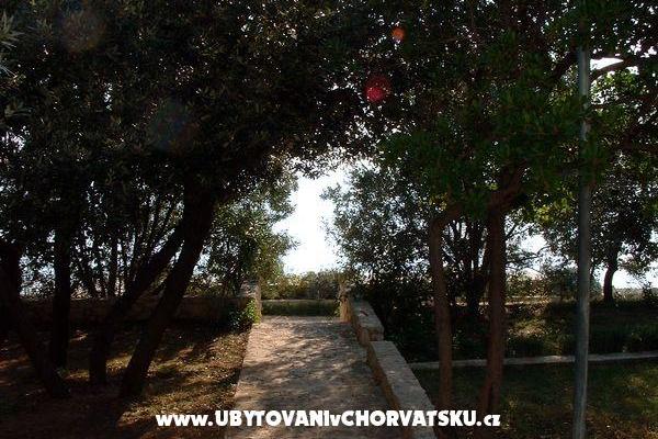 Apartamenty ISA – foto 6