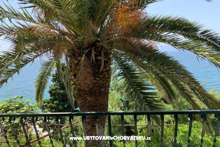 Apartamenty Palma – foto 7