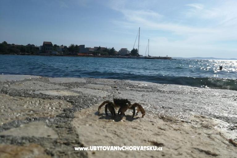 Apartament Mira – foto 13