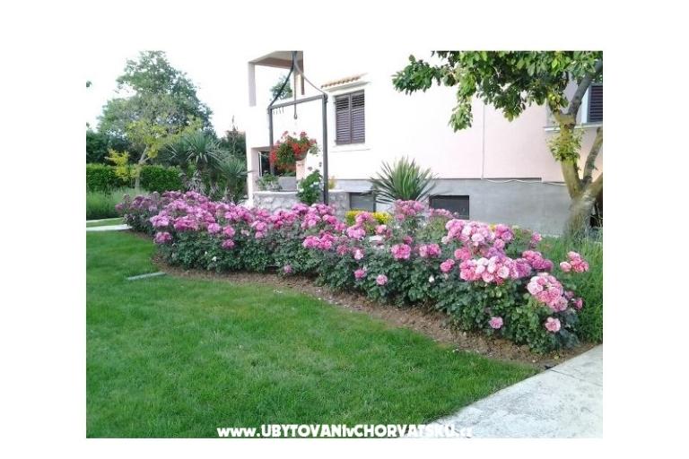 Apartamenty Martina – foto 16