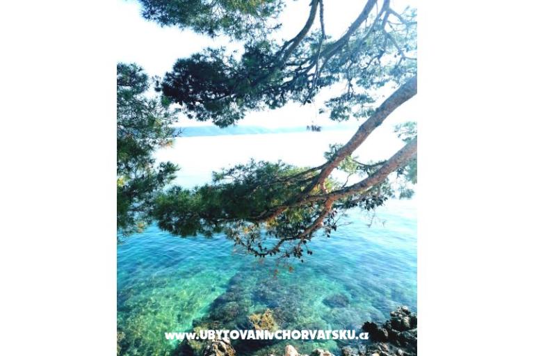 Apartamenty Anita Jelaš Veža – foto 3