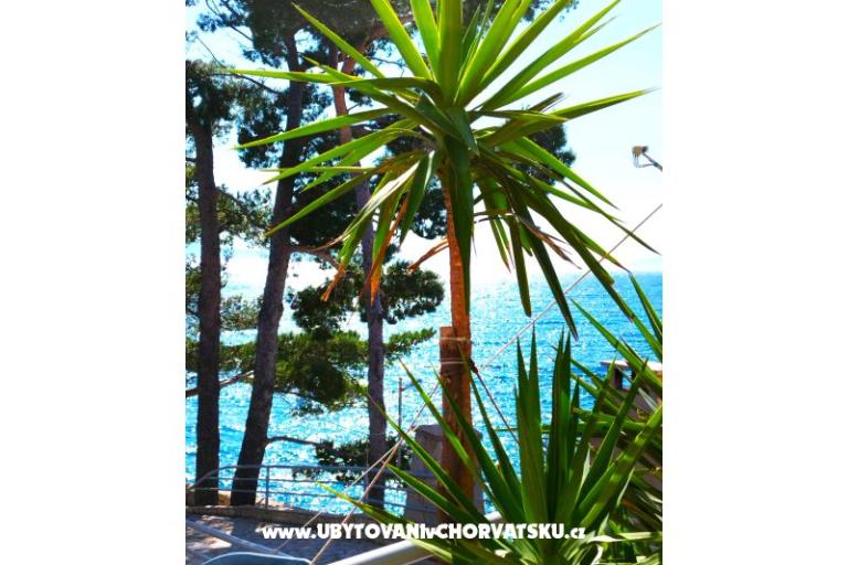 Apartamenty Anita Jelaš Veža – foto 6