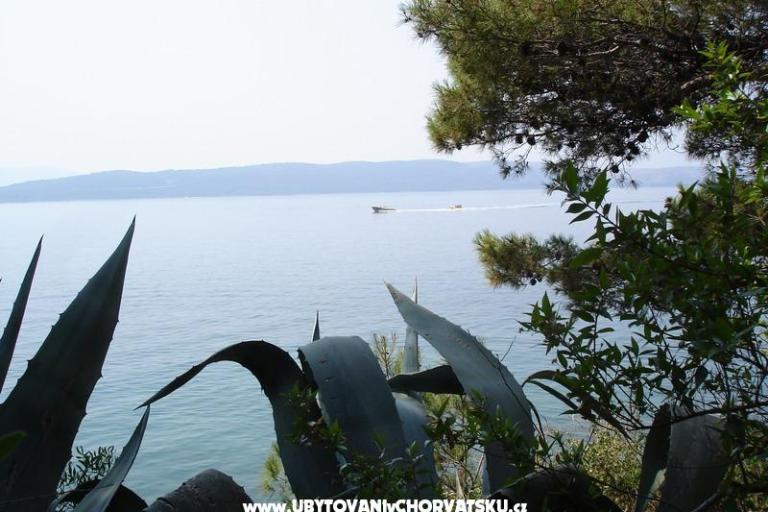 Apartamenty Anita – foto 15