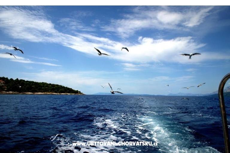 Apartamenty Anita – foto 16