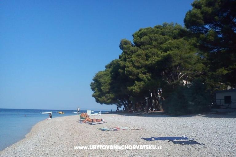 Apartamenty ELI – foto 14