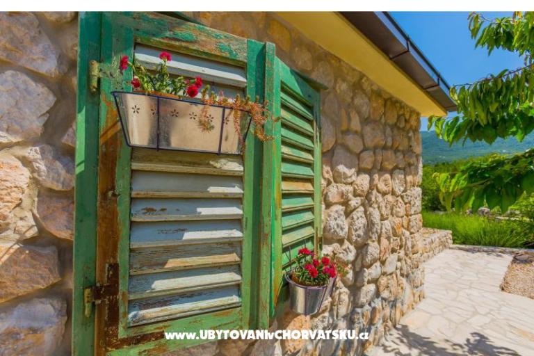 the Melody of Nature – foto 34