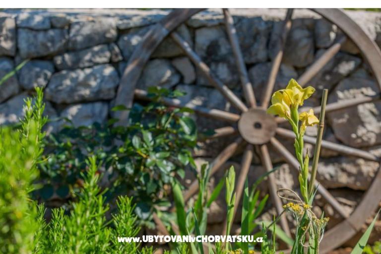 the Melody of Nature – foto 36